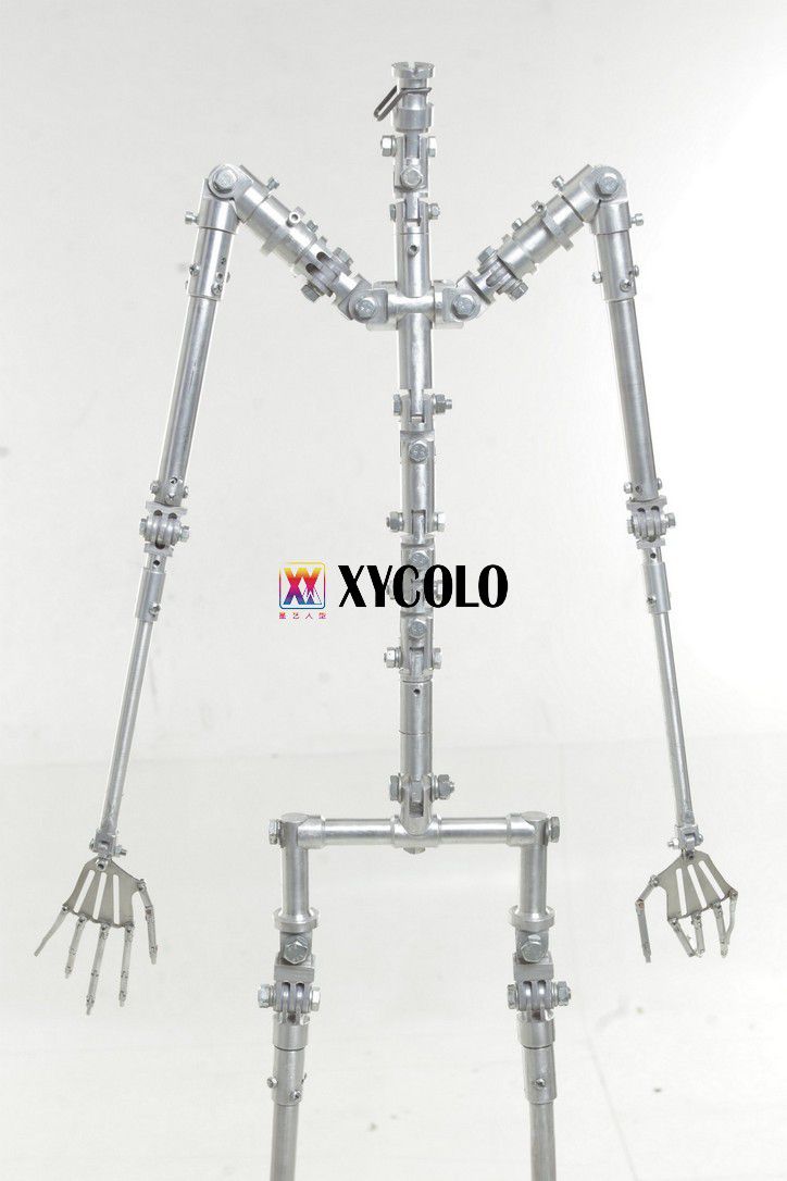 Xycolo Skeleton Photo